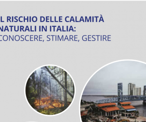 White Paper, rischi delle calamità naturali - copertina