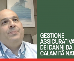 matteo bortolotti nella grafica di cineas
